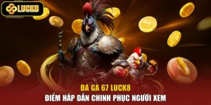 Đá Gà 67 Luck8 - Điểm Hấp Dẫn Chinh Phục Người Xem