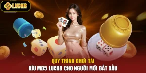 Quy Trình Chơi Tài Xỉu MD5 Luck8 Cho Người Mới Bắt Đầu